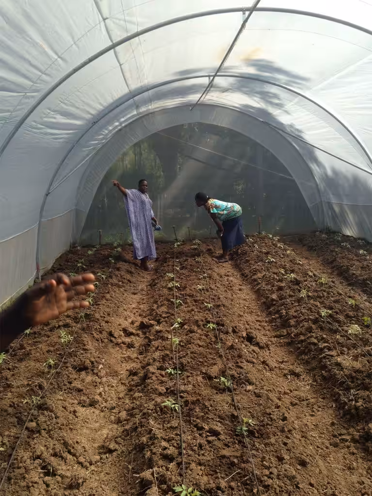 Terra a Responsabilità Condivisa: Agricoltura peri-urbana per lo sviluppo sostenibile di Kisumu