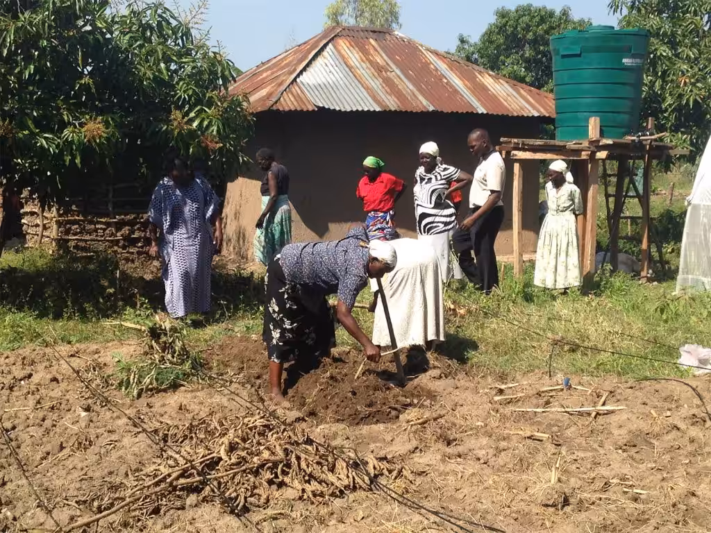 Terra a Responsabilità Condivisa: Agricoltura peri-urbana per lo sviluppo sostenibile di Kisumu