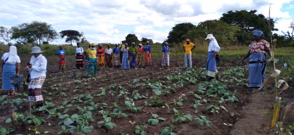 Sostegno agli agricoltori per garantire sicurezza alimentare della comunità