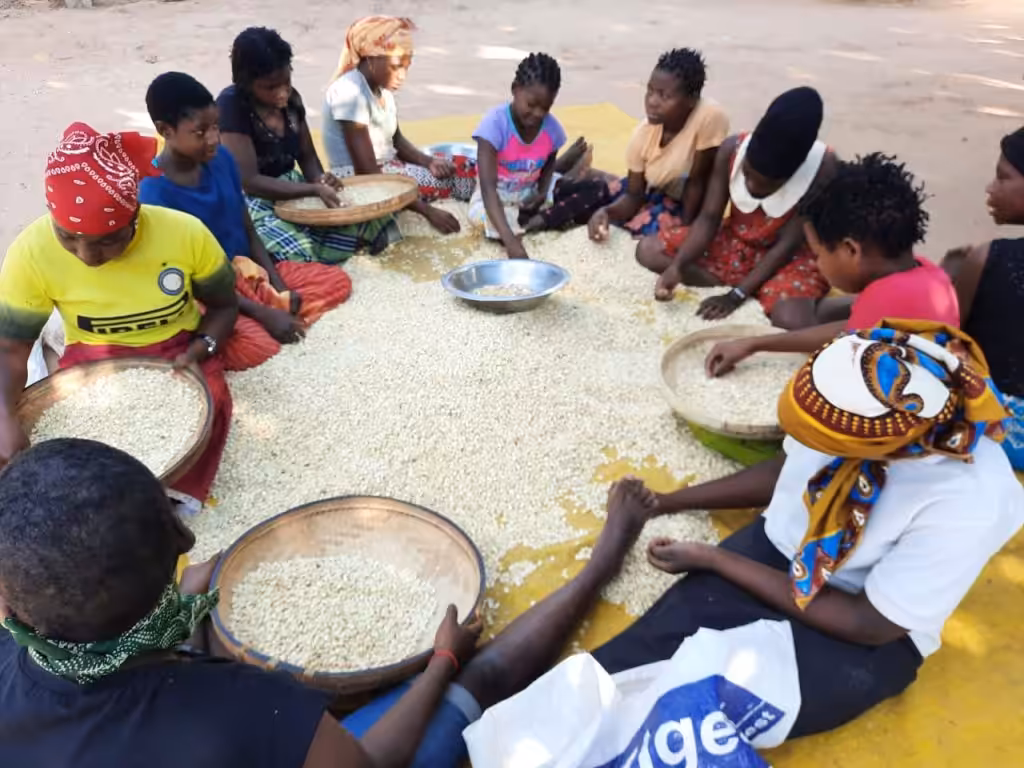 Sostegno e assistenza per centinaia di sfollati