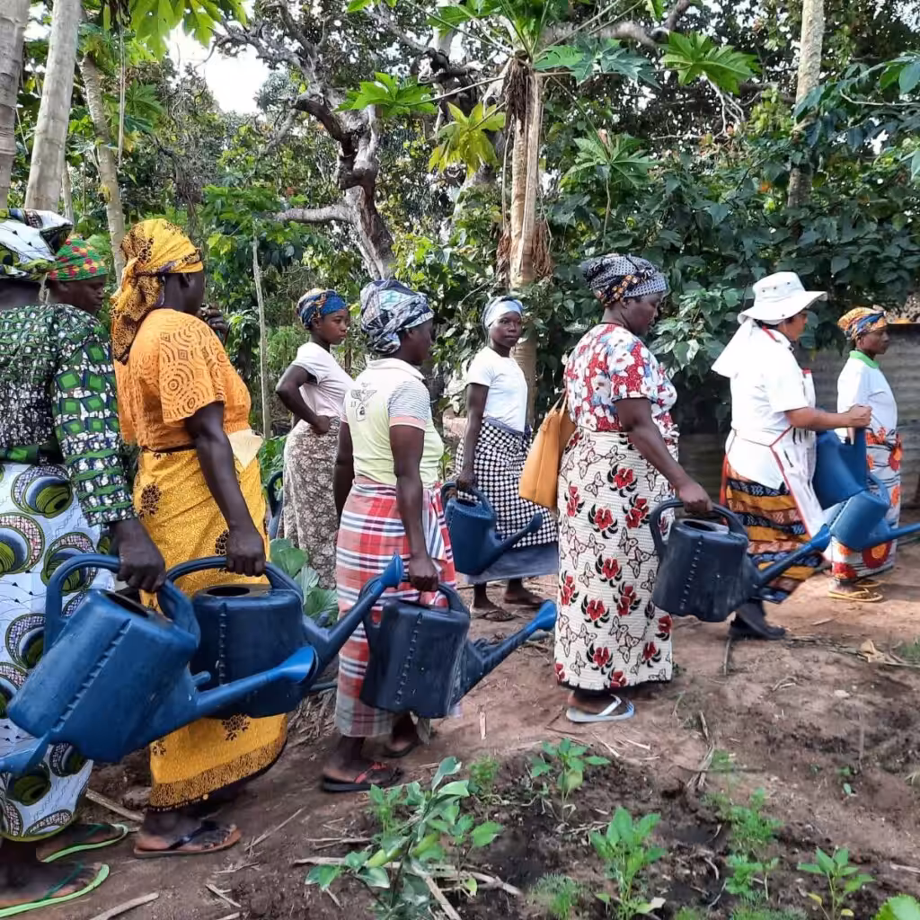 Cabo Delgado, Mozambique, agricultural program