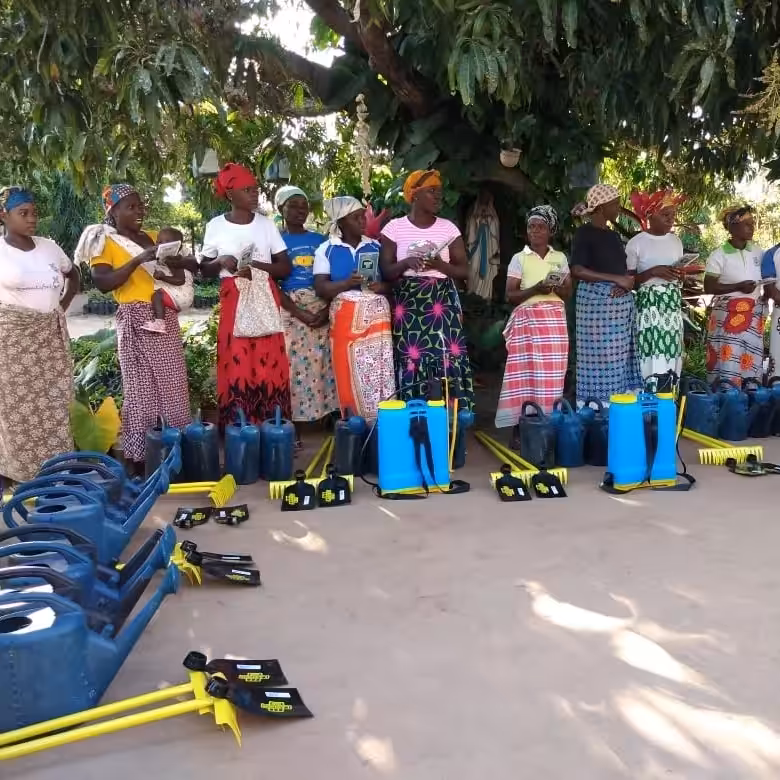 Cabo Delgado, Mozambique, agricultural program